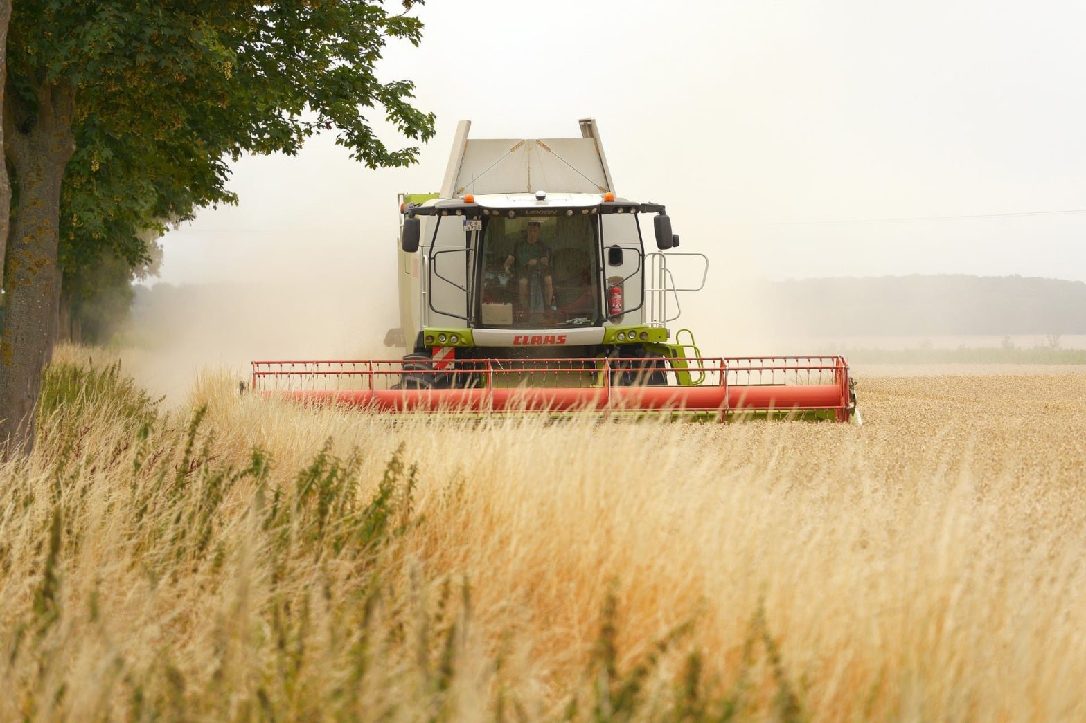 Louer des machines agricoles : financer intelligemment les tracteurs, les moissonneuses et les équipements d’élevage cover